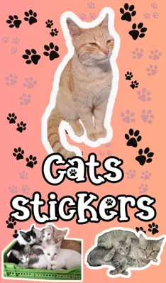 Cats Stickers android App screenshot 0