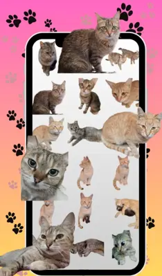 Cats Stickers android App screenshot 4